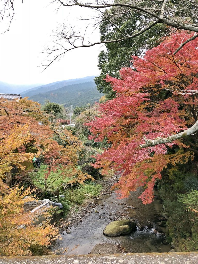 御船山楽園