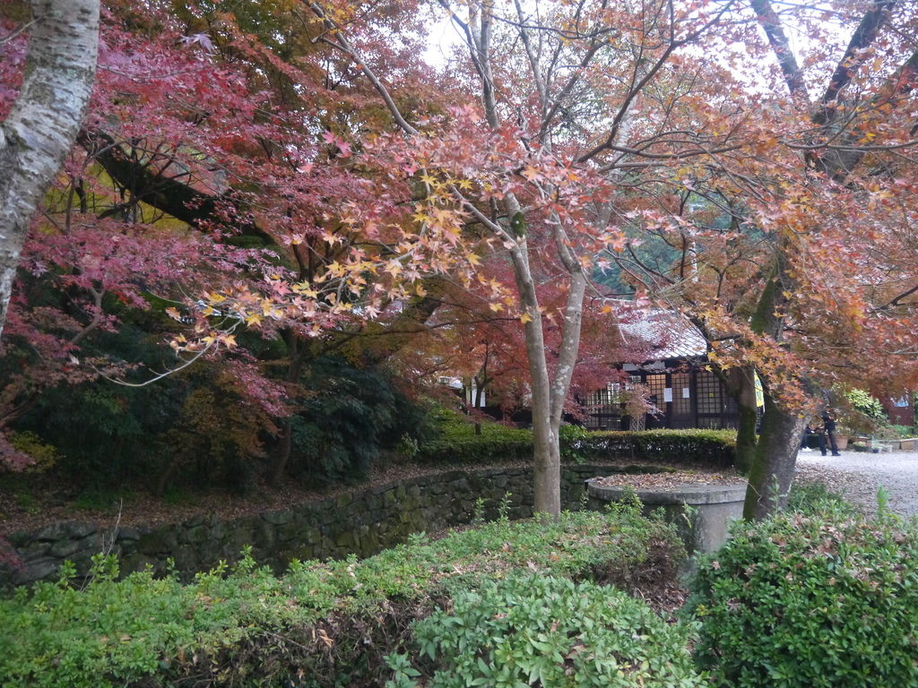 垂裕神社