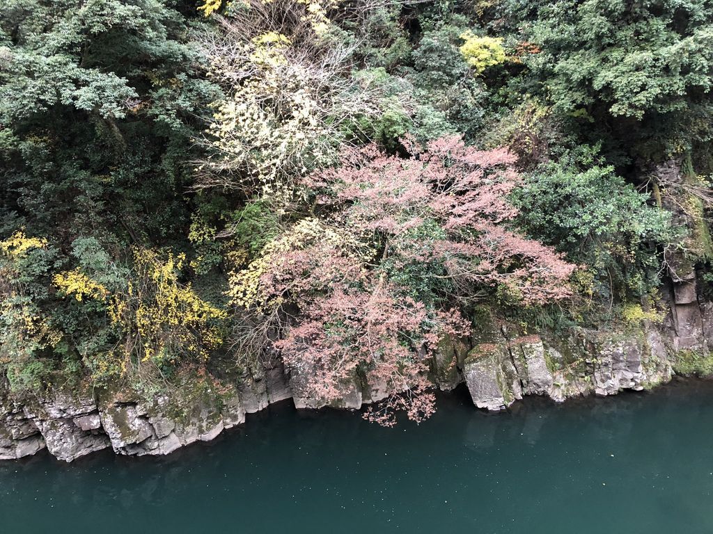 Tsuetate Kanko Hotel Hizenya