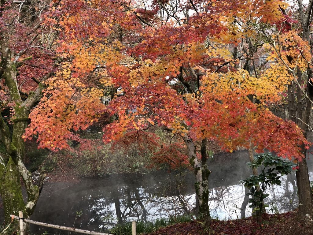 湯布院町川上