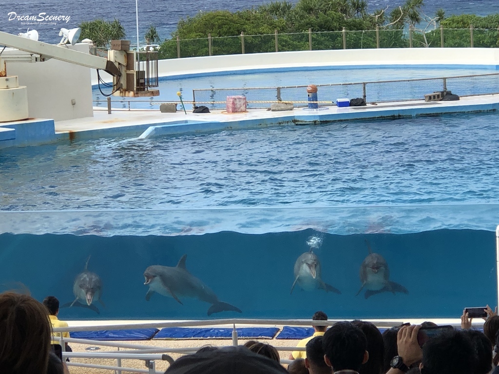 沖繩美麗海水族館