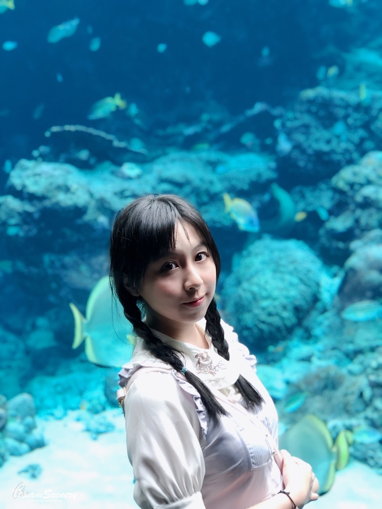 沖繩美麗海水族館