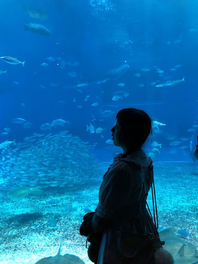 沖繩美麗海水族館