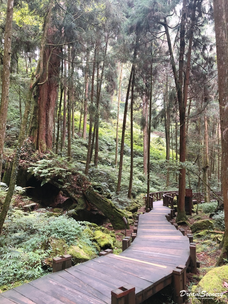 阿里山