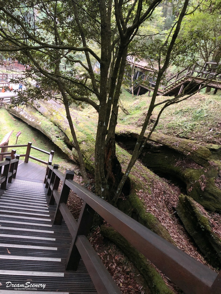 阿里山