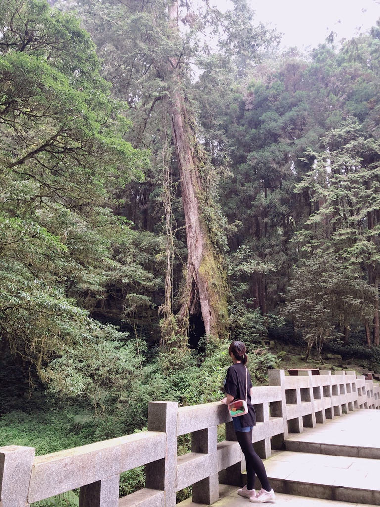 阿里山