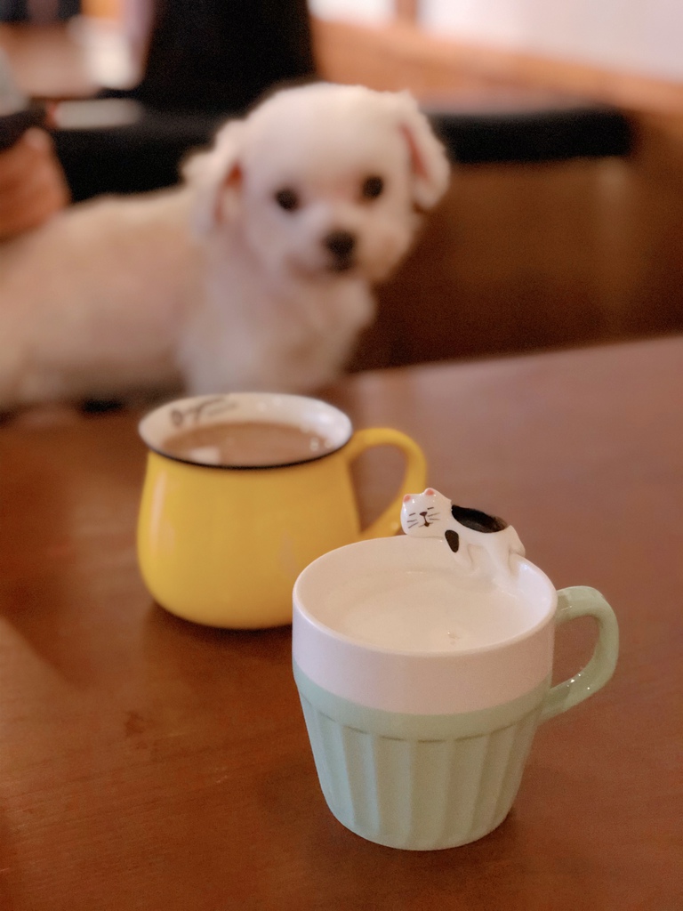 日暮 和風洋食館