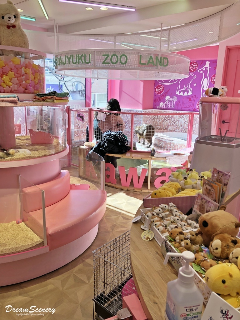 Harajuku Zoo Land Cafe