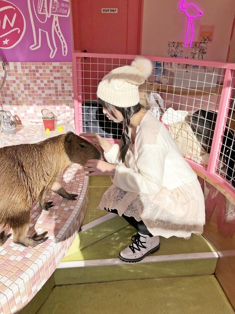 Harajuku Zoo Land Cafe