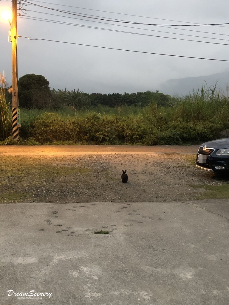 【花蓮】山海趣田園親子民宿