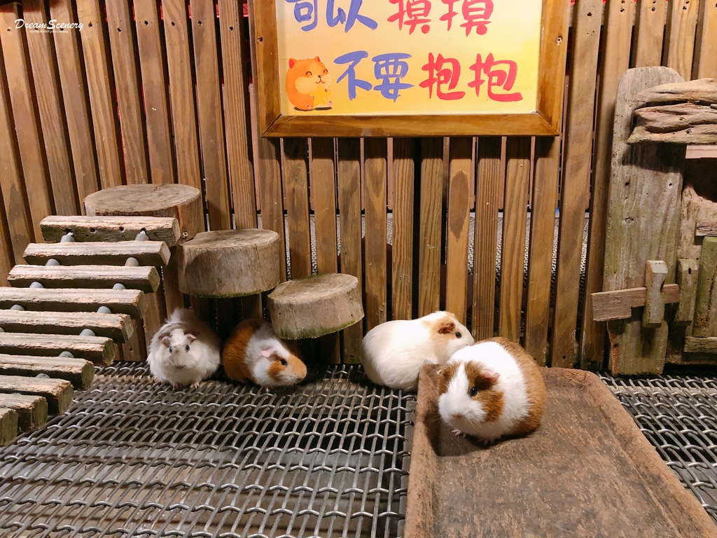 星月天空景觀餐廳