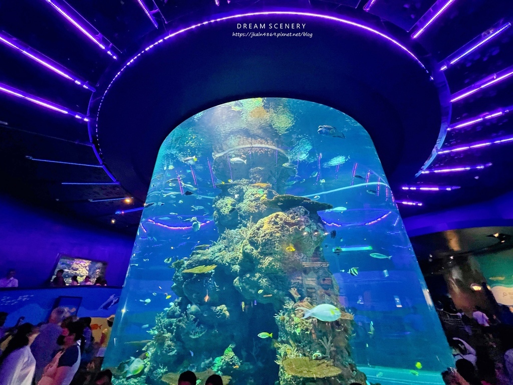 S.E.A AQUARIUM