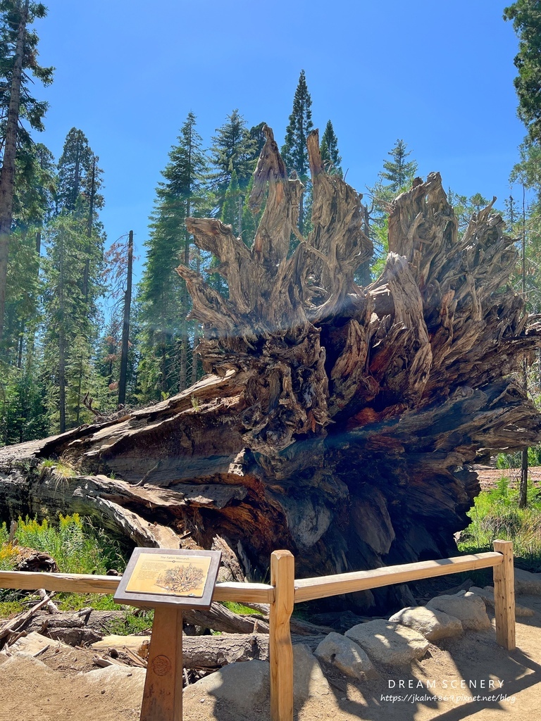 優勝美地國家公園 Yosemite National Park