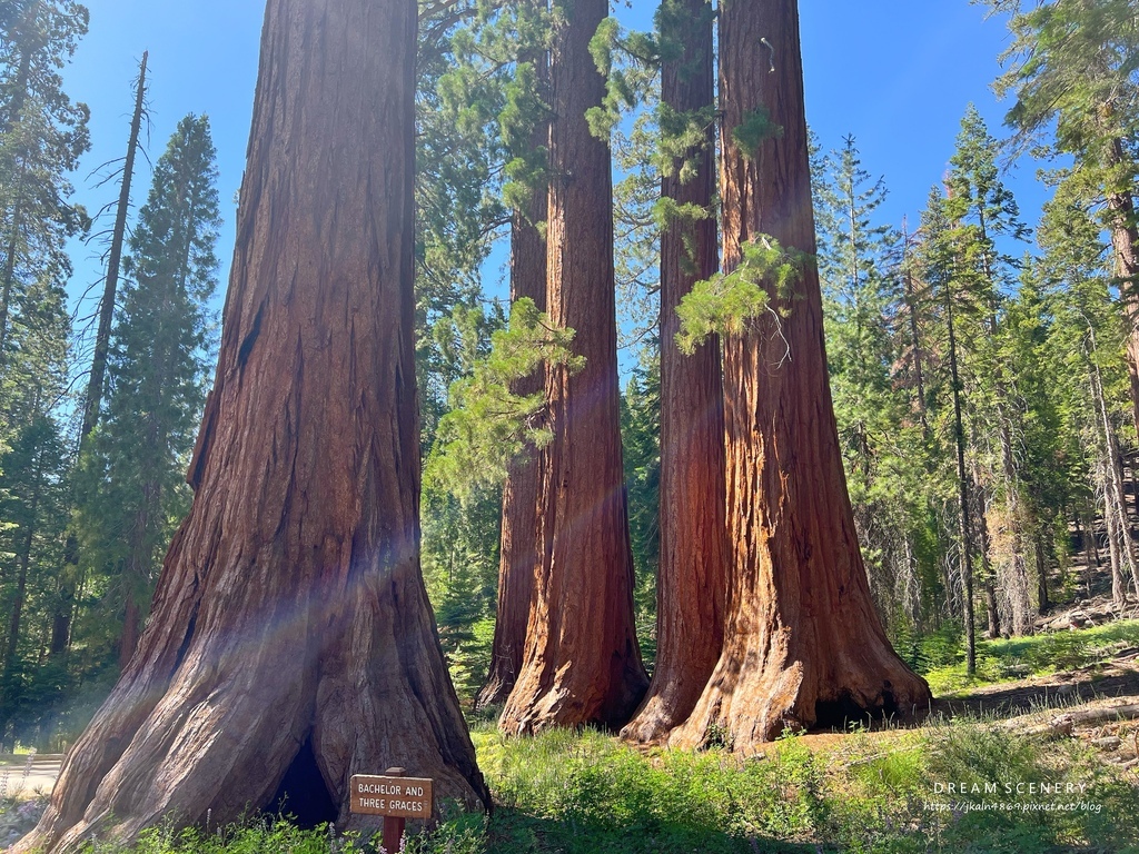 優勝美地國家公園 Yosemite National Park