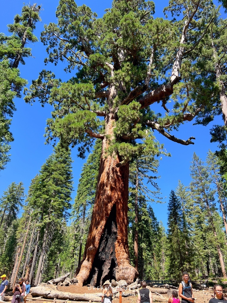 優勝美地國家公園 Yosemite National Park