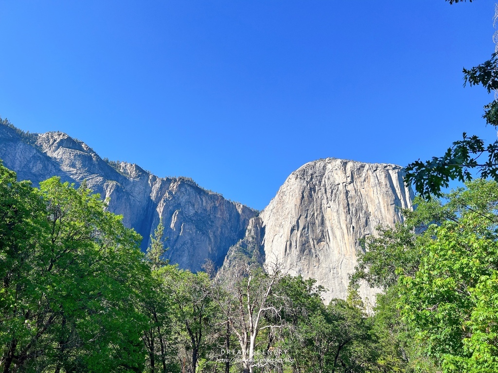 優勝美地國家公園 Yosemite National Park