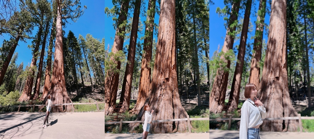 優勝美地國家公園 Yosemite National Park