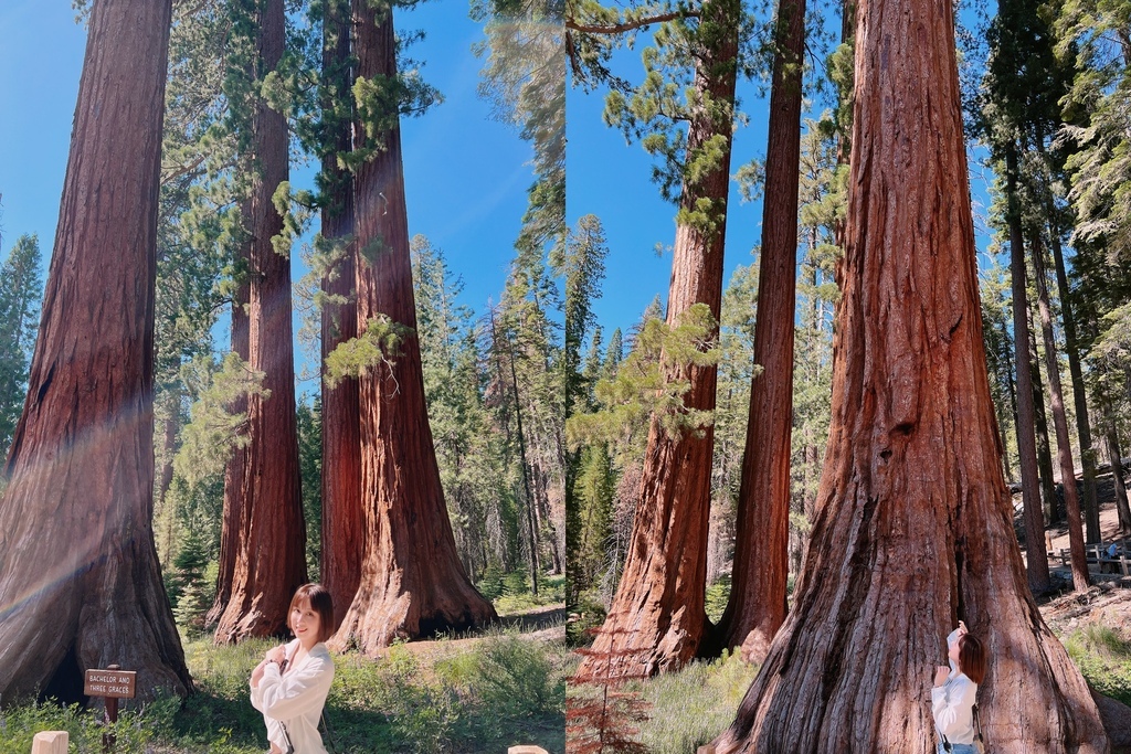 優勝美地國家公園 Yosemite National Park