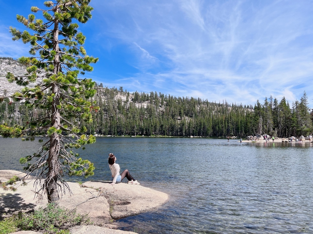 優勝美地國家公園 Yosemite National Park