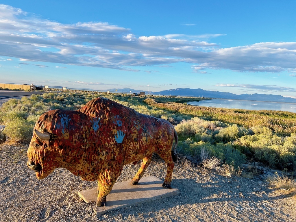 【美國-Utah】 猶他州大鹽湖上最大的島│羚羊島州立公園 