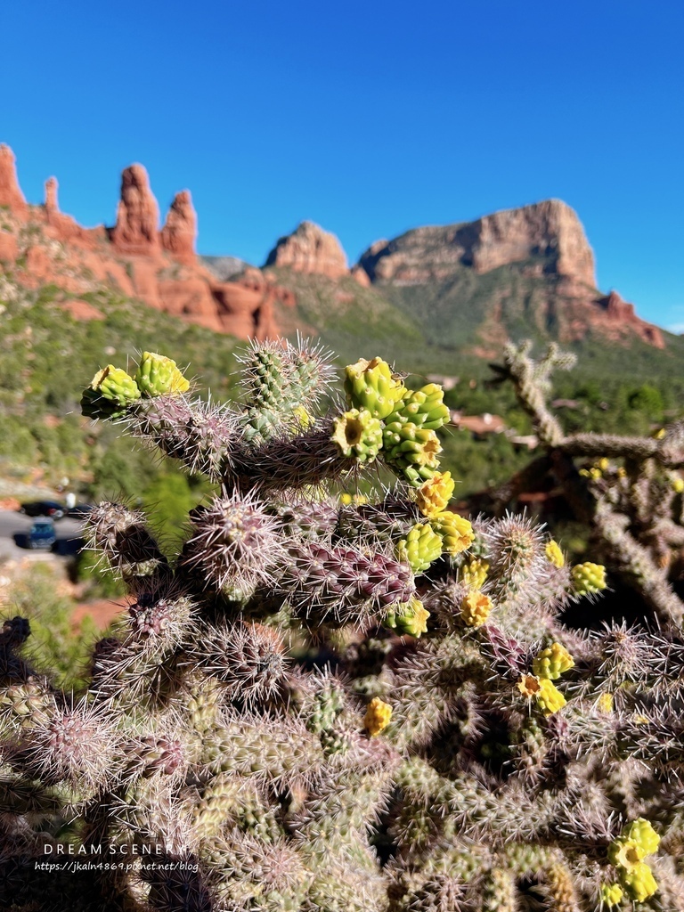 【美國-Arizona】 Sedona紅色岩層│紅岩聖十字教