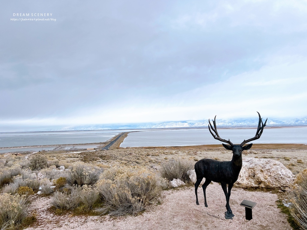 【美國-Utah】 猶他州大鹽湖上最大的島│羚羊島州立公園 