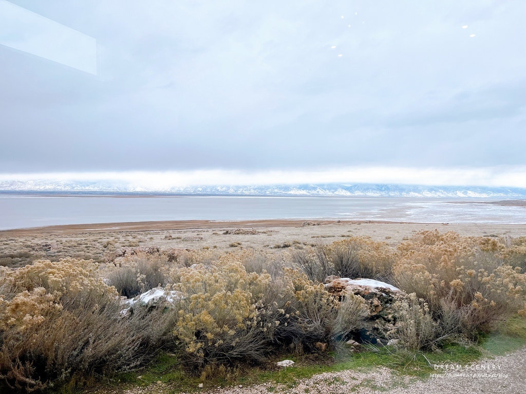 【美國-Utah】 猶他州大鹽湖上最大的島│羚羊島州立公園 