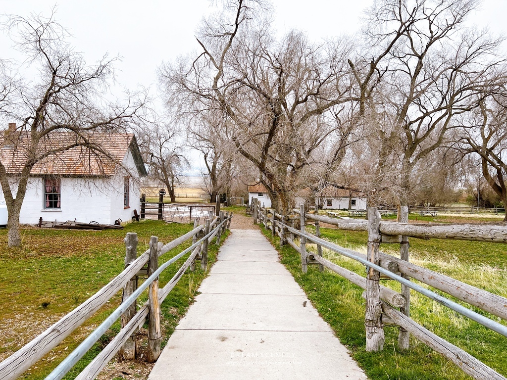 【美國-Utah】 猶他州大鹽湖上最大的島│羚羊島州立公園 