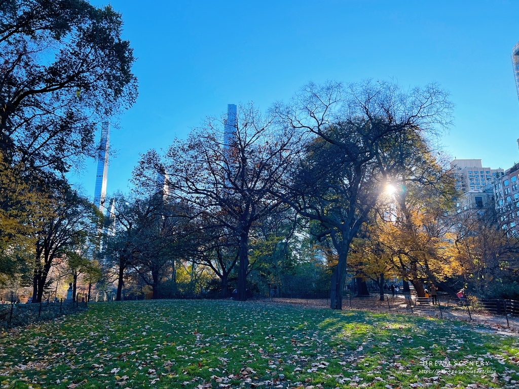 中央公園 Central Park