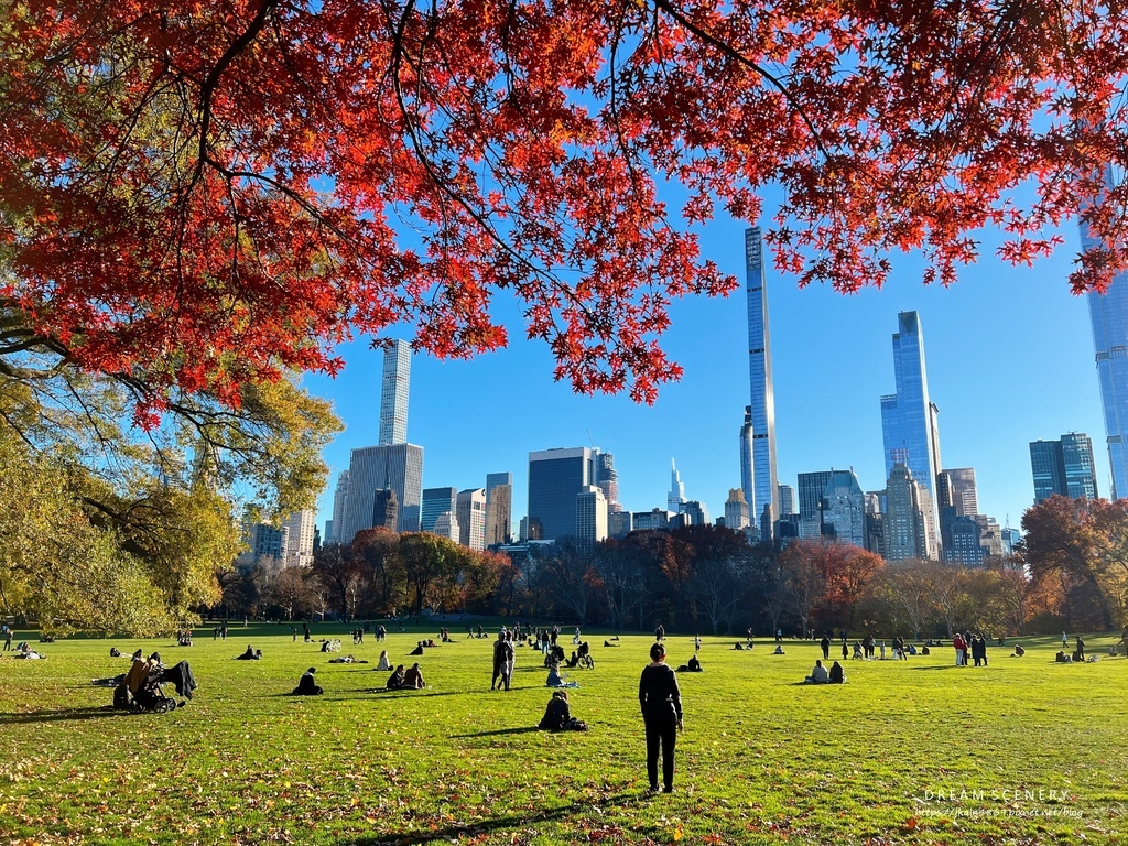 中央公園 Central Park