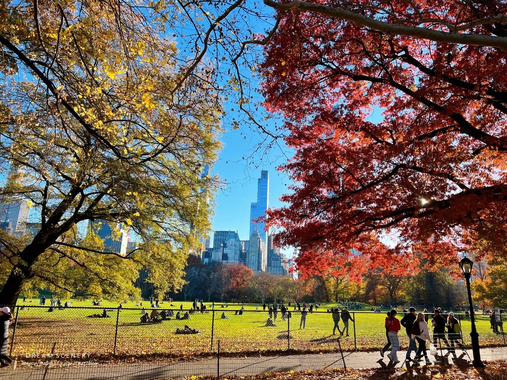 中央公園 Central Park