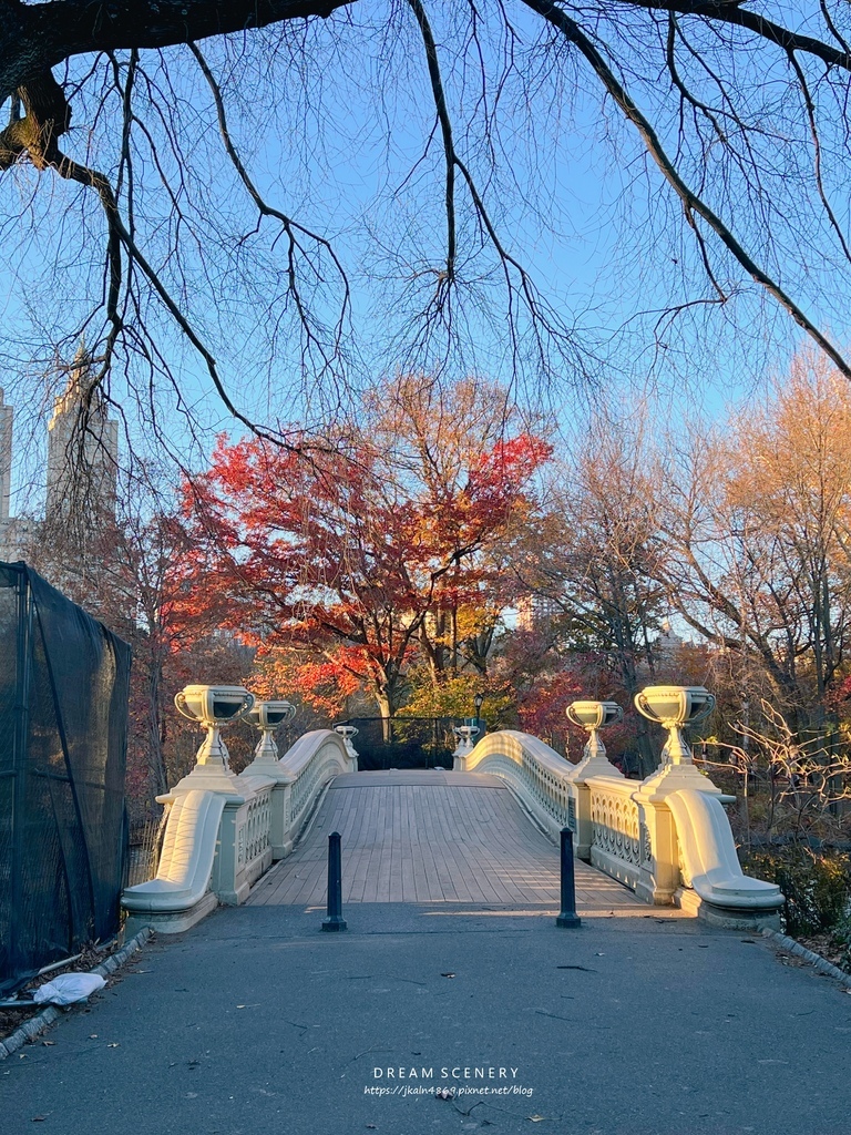 中央公園 Central Park