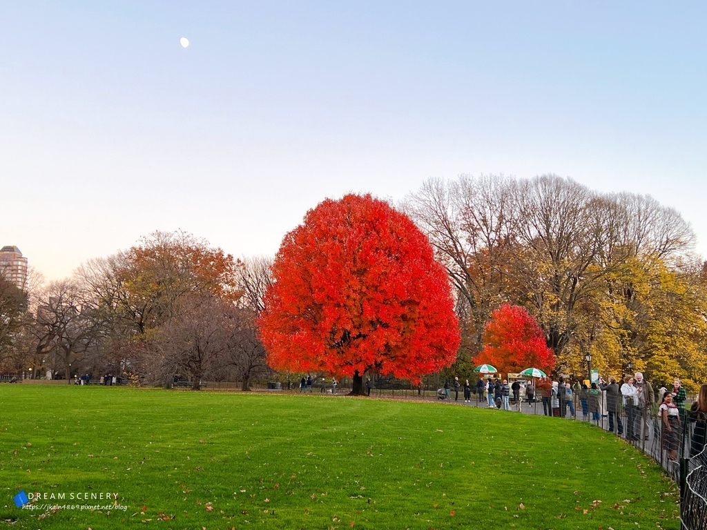 中央公園 Central Park