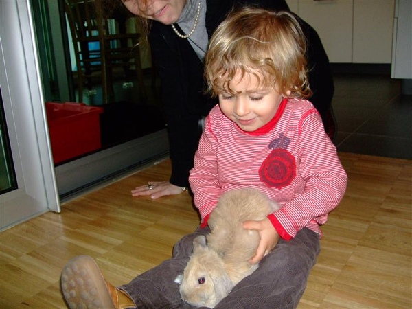 Nicolas和兔子