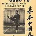 bruce-lee-chinese-gung-fu-1.jpg