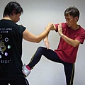 wingchun.jpg