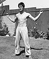 brucelee2_100x150.jpg