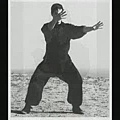 BRUCE LEE 李小龍 GUNG FU JKD[(000975)15-02-03].JPG