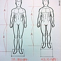 人體二分法.jpg