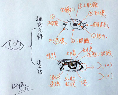 五官的畫法02.jpg