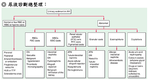 Nephro 急性腎損傷aki定義與分級 小節的醫學筆記 痞客邦