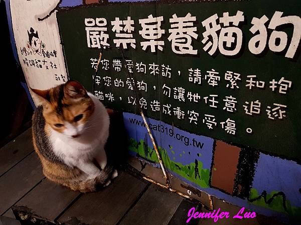 【享遊】新北市瑞芳區-猴硐貓村尋貓、猴硐煤礦博物園區覓段知性