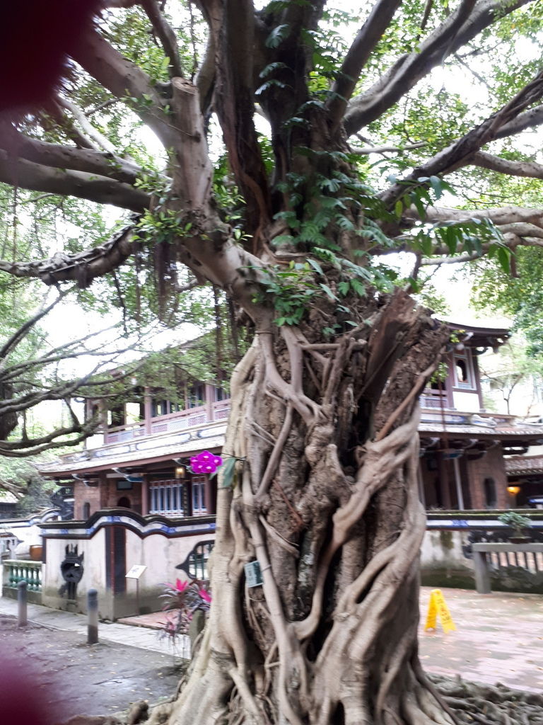 板橋林家花園