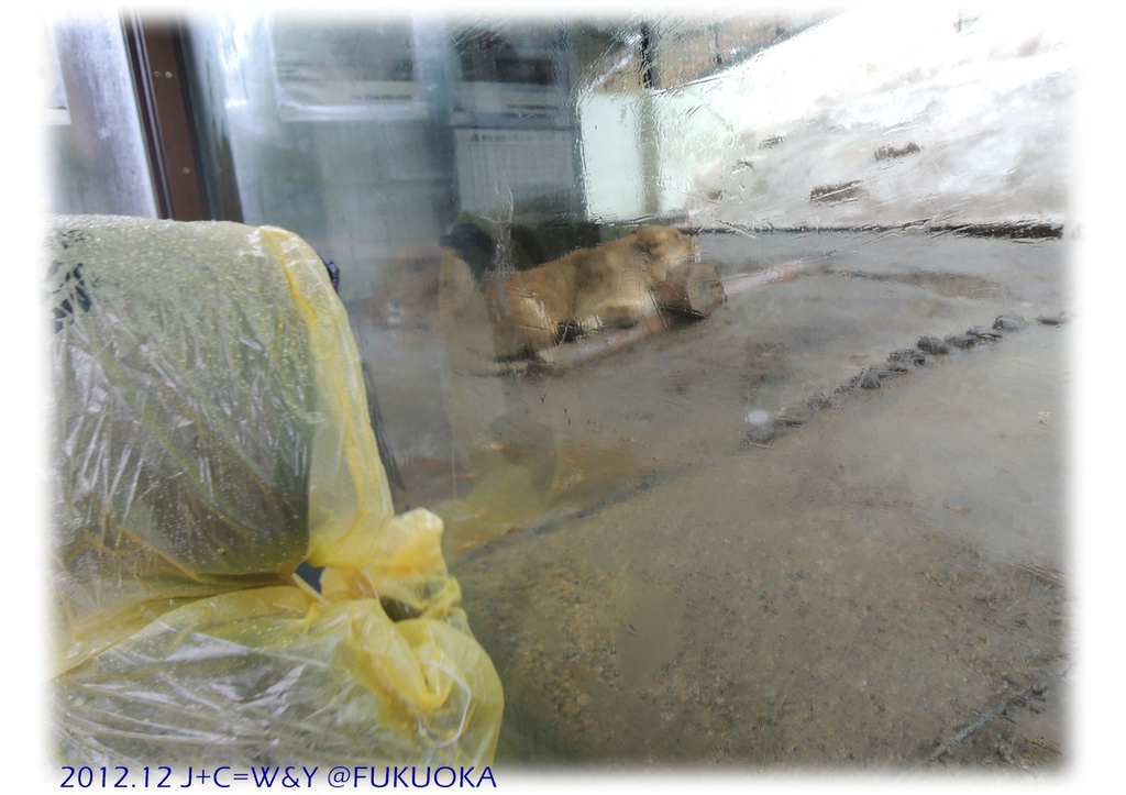 12.28 動物園11