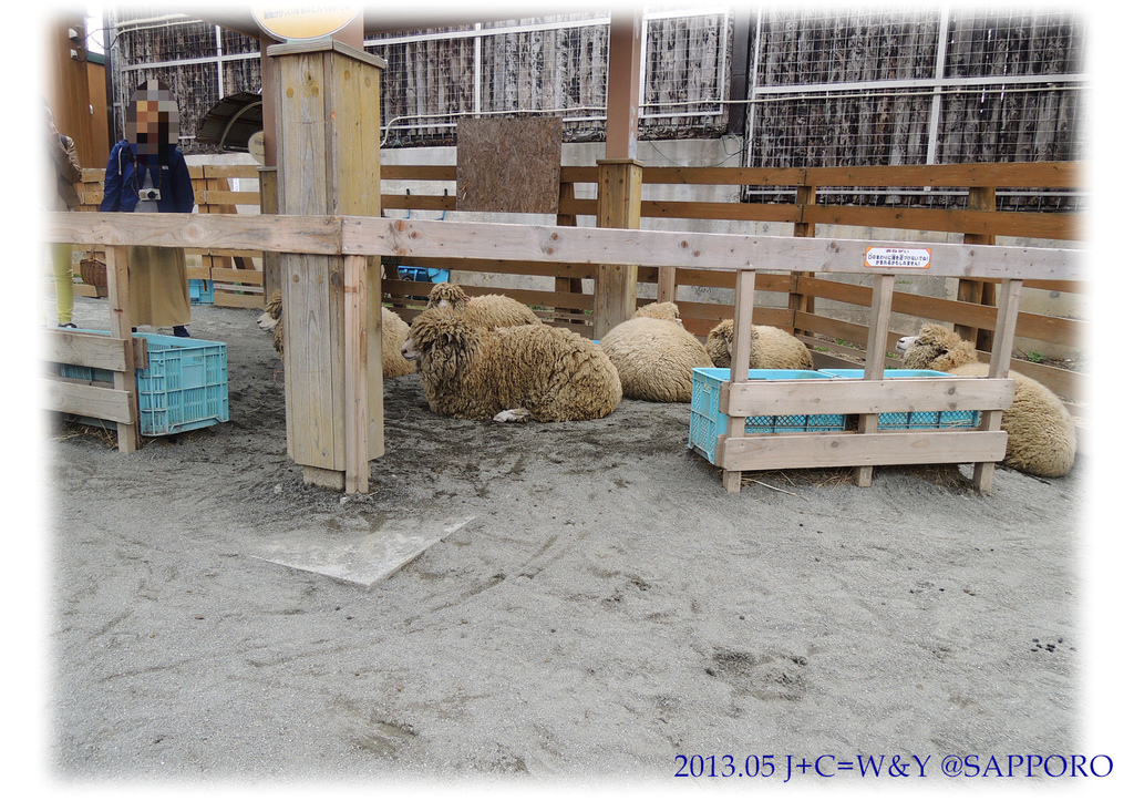 05.13 円山動物園 60.jpg