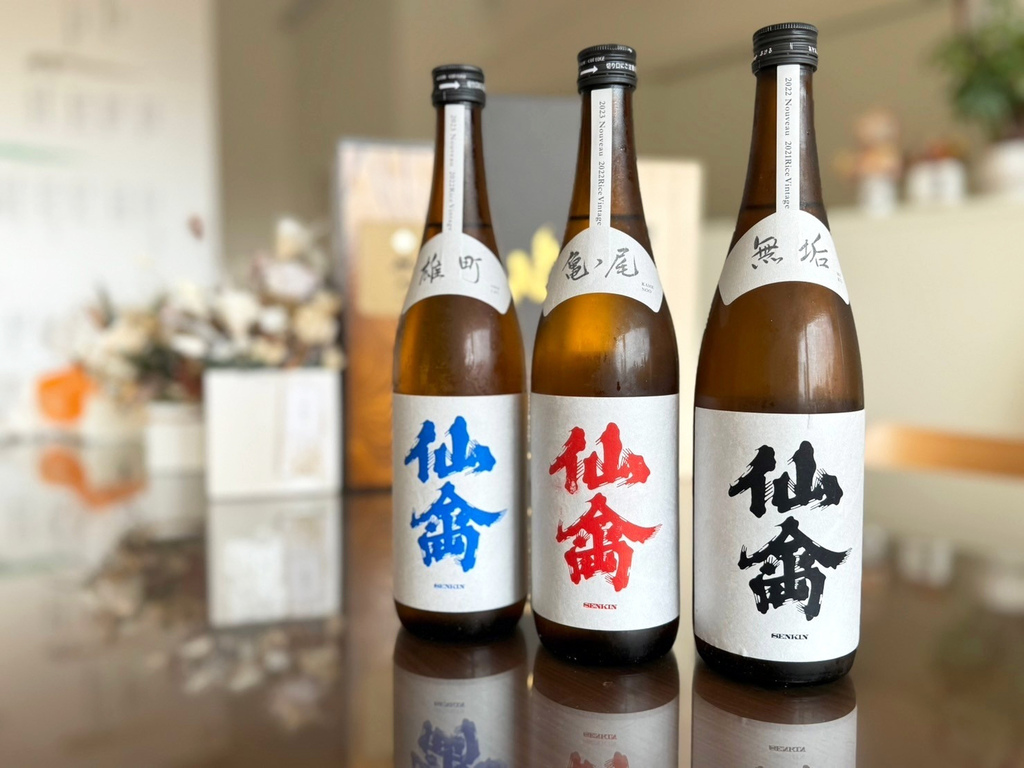 台南清酒粉必朝聖之地！SAKAKURA清酒專賣店│大七梅酒極