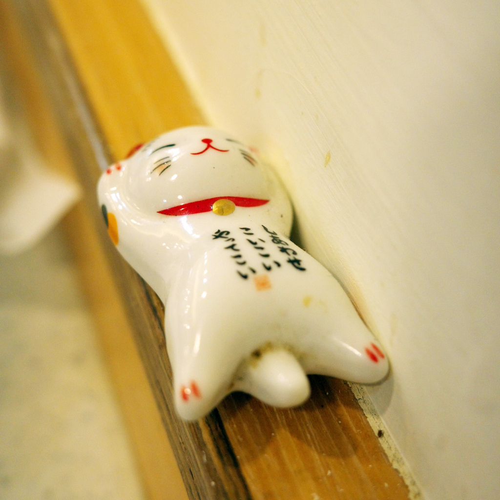 店內貓咪