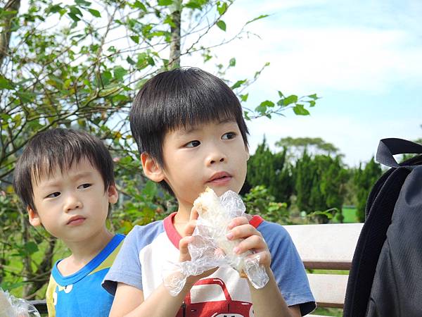 親子景點 ❤ 福德坑環保復育公園 ♪ 文山區親子景點 ♩ 滑