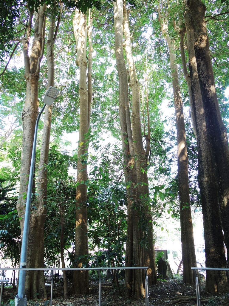 親子景點 ❤ 牯嶺公園 ♪ 台北市中正區親子景點 ♩ 環境舒