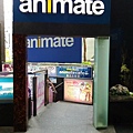 animate-3.jpg